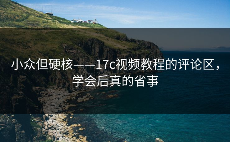 小众但硬核——17c视频教程的评论区，学会后真的省事